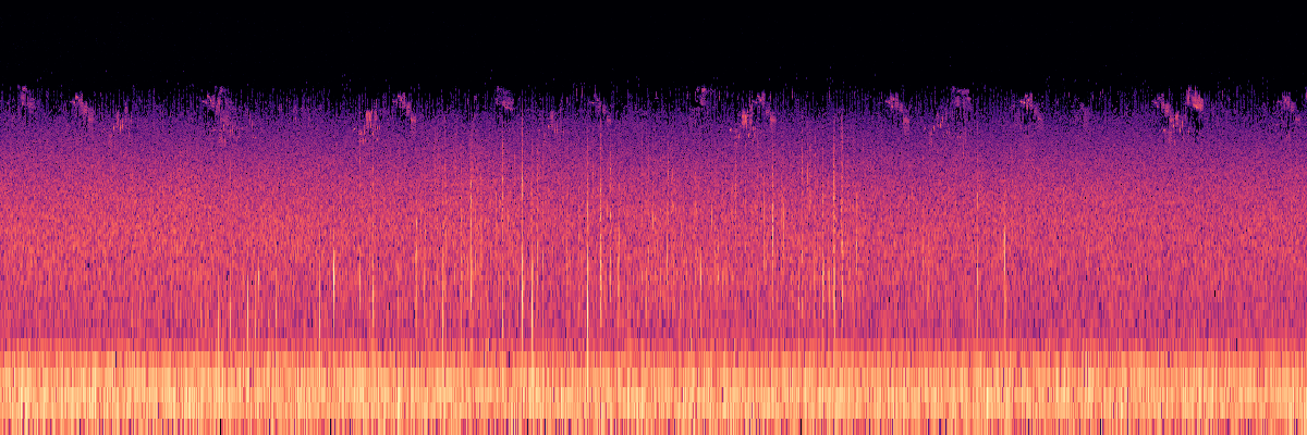 Spectrogram: Small Rockfall With Avian Chorus